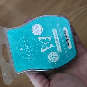 Scentsy Palm Trees & Ocean Breeze Bar